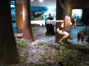 2015,MODULAREB,museo di storia naturale,PIACENZA (9).jpg